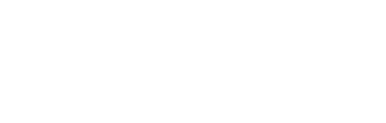 sponsors/msd-white-slogan.png